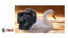 بررسی قابلیت تعقیب سوژه در زمان فیلمبرداری با دوربین کانن Canon EOS 80D