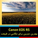 چرا دوربین کانن EOS R5 یک گزینه ایده آل برای عکاسی در طبیعت است ؟