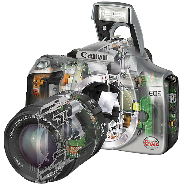 مکانیزم و ساختار دوربینهای عکاسی D-SLR