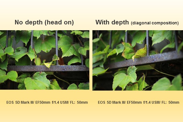 تعمیر دوربین - تعمیر دوربین کانن - تعمیر دوربین نیکون - تعمیر دوربین سونی 