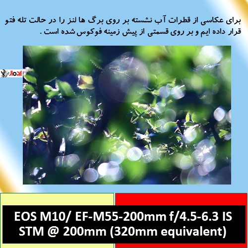 تعمیر دوربین - تعمیر دوربین کانن - تعمیر دوربین نیکون - تعمیر دوربین سونی 