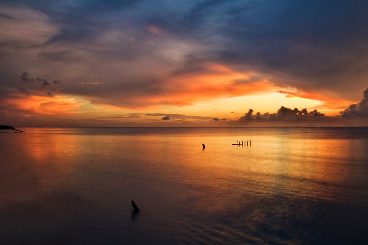 نمایندگی کانن - نمایندگی رسمی کانن  - تعمیر دوربین - نمایندگی تعمیر دوربین - آموزش عکاسی 