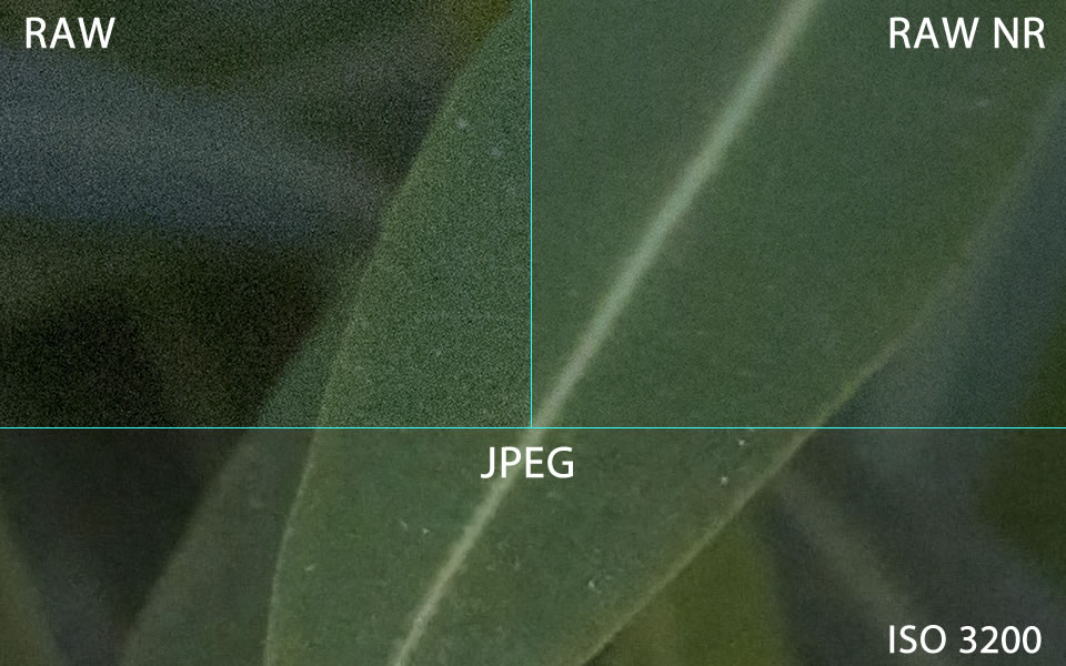 مروری بر قابلیت های فایل های RAW 2 RAW در مقابل JPEG و همچنین انواع RAW