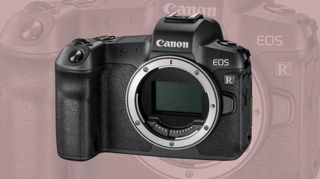 لنز کانن Canon RF 500mm f/4L IS برترین لنز سوپر تله فتو برای دوربین های EOS R 2 نمایندگی کانن - نمایندگی تعمیرات کانن - تعمیر دوربین کانن