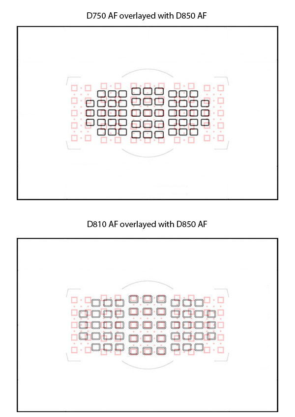 سطح پوشش اتوفوکوس در دوربین نیکون D850 2 1719775235 733 سطح پوشش اتوفوکوس در دوربین نیکون D850