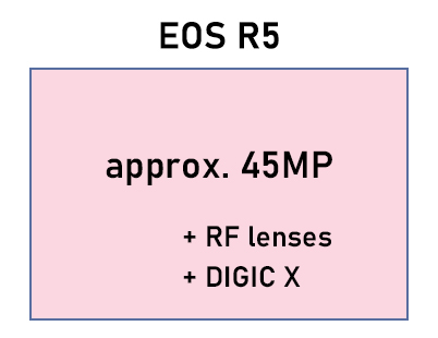 9 دلیل برای تغییر از دوربین کانن EOS 5D Mark IV به EOS R5 2 تعمیر دوربین - تعمیر دوربین کانن
