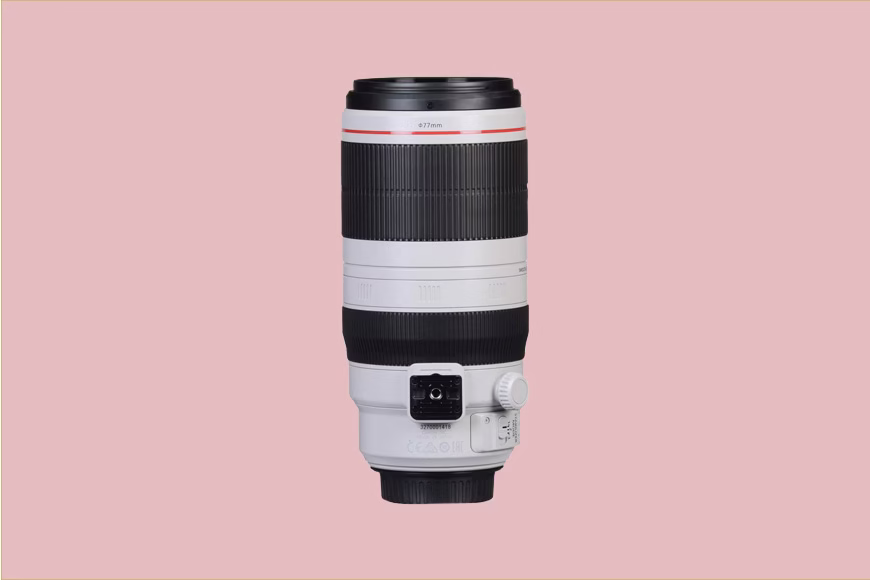 Canon EF 100-400mm f/4.5-5.6L IS II USM | Best for Wildlife & Sports