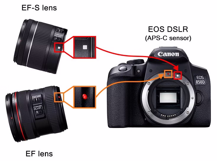 EF & EF-S