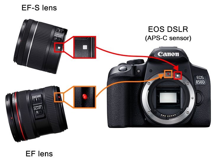 EF & EF-S
