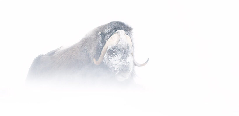 فنون و تجهیزات برای ثبت تصاویری بی‌نظیر