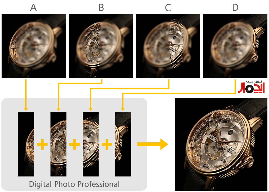 راهنمای جامع عکاسی ماکرو با لنز سونی FE 70-200mm f/4 Macro: ثبت دنیای شگفتانگیز حشرات 3 فرآیند فوکوس استکینگ