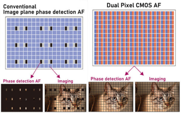 معرفی Canon R6 Mark III؛ جهش بزرگ کانن در فوکوس، سرعت و فیلمبرداری 7K 3 Dual Pixel CMOS AF II autofocus example