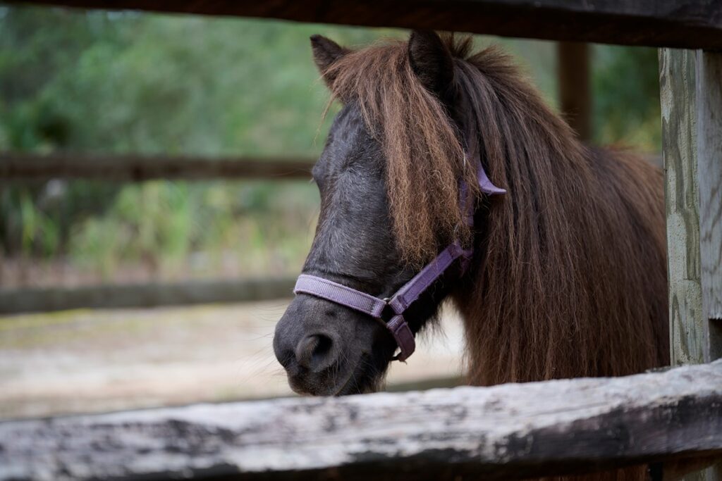 مقایسه وزن لنز نیکون 24-70mm S II با نسخه اصلی