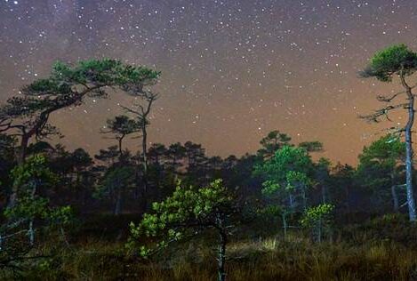 تجهیزات استاندارد عکاسی در شب