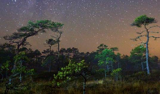 عکاسی در شب: راهنمای جامع ثبت لحظههای جادویی در تاریکی 1 تجهیزات استاندارد عکاسی در شب