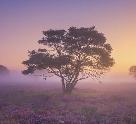 تجهیزات عکاسی (دوربین و سه‌پایه) آماده کار در مه