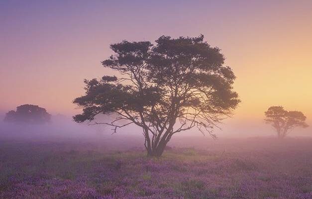 راهنمای جامع عکاسی از مناظر مهآلود: نکات کلیدی برای خلق تصاویری رؤیایی 1 تجهیزات عکاسی (دوربین و سهپایه) آماده کار در مه