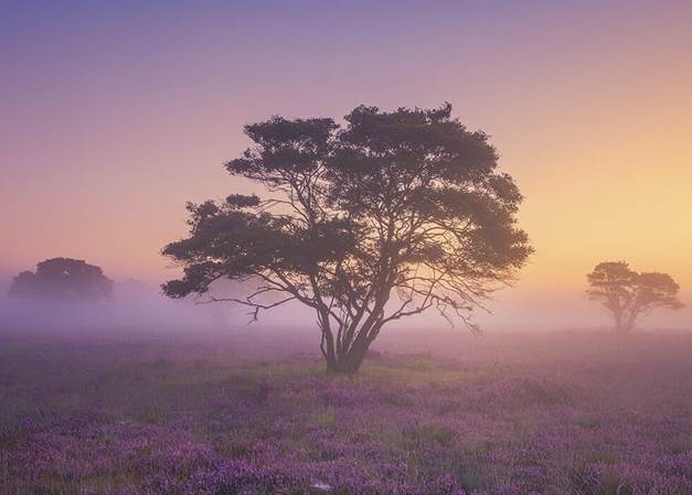 تجهیزات عکاسی (دوربین و سه‌پایه) آماده کار در مه