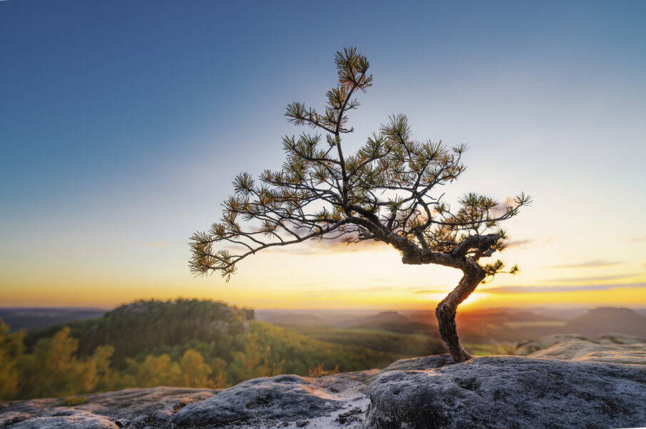 راهنمای جامع عکاسی در ساعت طلایی با دوربینهای سونی آلفا 2 برنامهریزی برای عکاسی در ساعت طلایی صبحگاهی