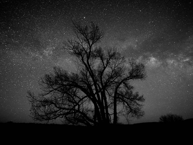 عکاسی در شب: راهنمای جامع ثبت لحظههای جادویی در تاریکی 3 تکنیک نقاشی با نور در جنگل در شب