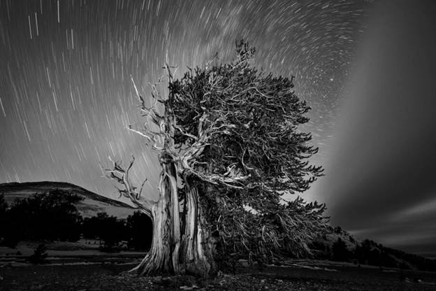 عکاسی در شب: راهنمای جامع ثبت لحظههای جادویی در تاریکی 4 اهمیت سهپایه و انتخاب لنز مناسب