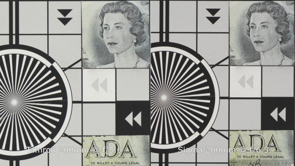 بررسی تخصصی لنز تامرون 25-200mm f/2.8-5.6 Di III VXD G2: سفر سبک و بیدغدغه 3 نمونه عکاسی در مقابل نور خورشید با لنز تامرون 25-200mm که نشاندهنده کنترل خوب فلر است.