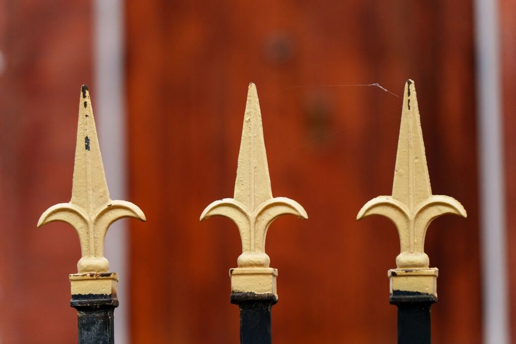 بررسی تخصصی لنز تامرون 25-200mm f/2.8-5.6 Di III VXD G2: سفر سبک و بیدغدغه 4 تصویری با بوکه زیبا و هایلایتهای گرد و نرم گرفته شده با لنز تامرون 25-200mm.