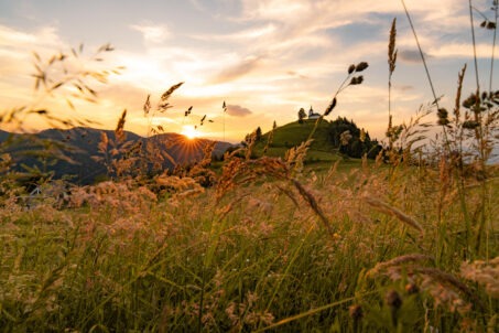 راهنمای جامع عکاسی طلوع آفتاب با دوربین سونی: از آمادهسازی تا فرآیند فنی ثبت طلوع خورشید با تنظیمات و ترکیببندی دقیق و خیرهکننده 2 رنگهای آتشین پاییز در جنگل