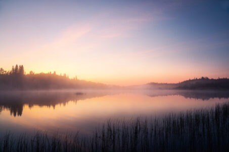 راهنمای جامع عکاسی طلوع آفتاب با دوربین سونی: از آمادهسازی تا فرآیند فنی ثبت طلوع خورشید با تنظیمات و ترکیببندی دقیق و خیرهکننده 6 انعکاس کامل و آینهای درختان پاییزی در آب