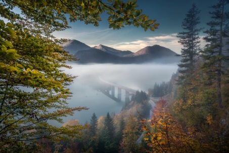 لحظه‌ای ماندگار از پاییز