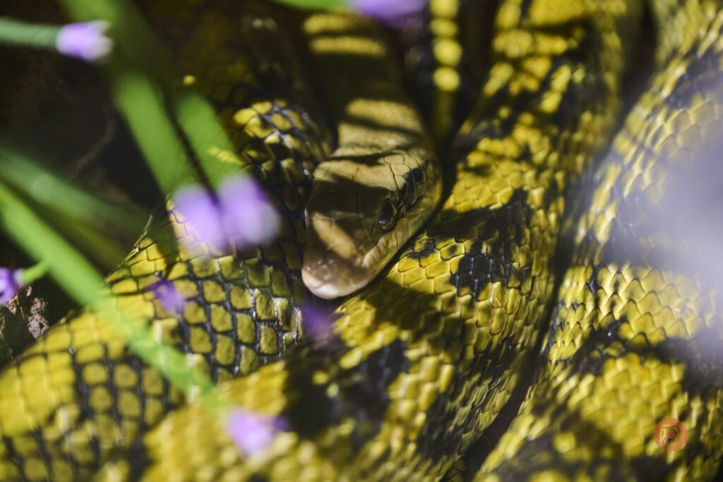 نبرد بهترین دوربین کارکرده: Sony A7 III یا Nikon Z5 II؟ (بررسی کامل و مقایسه تخصصی) 6 کنترلهای بالایی دوربین سونی A7 III