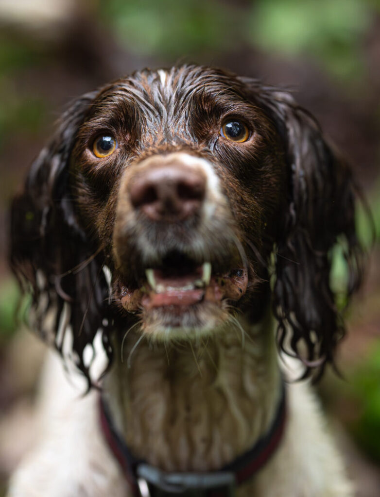 عکاسی پرتره با زاویه دید پایین.