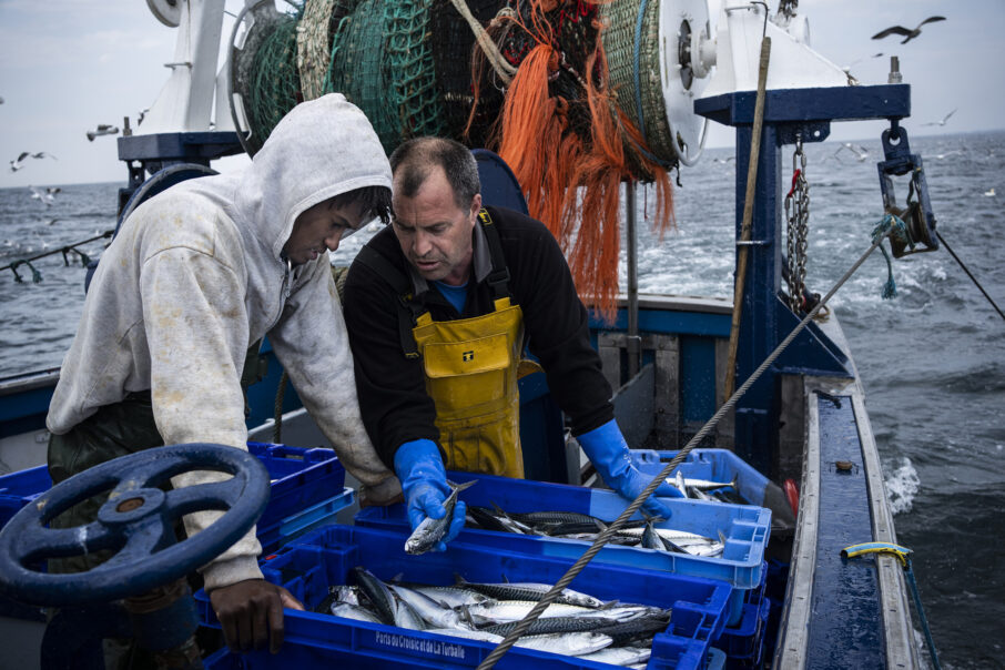 برای عکاسی از مستند