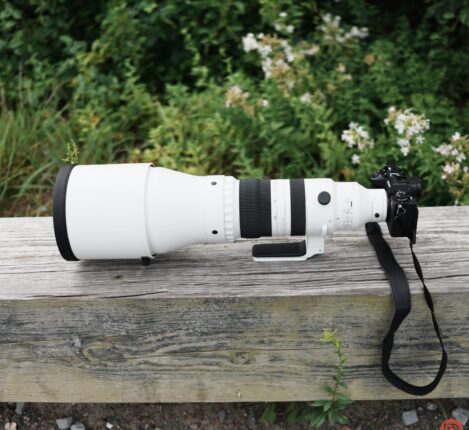 لنز حرفه‌ای سیگما 300-600mm f/4