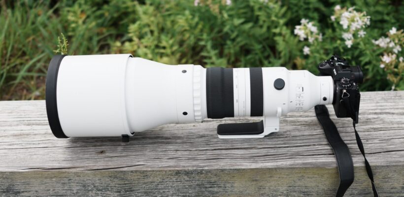 کمبود جهانی تجهیزات سیگما: چرا لنز 300-600mm و دوربین BF به سختی در دسترس هستند؟ 1 لنز حرفهای سیگما 300-600mm f/4