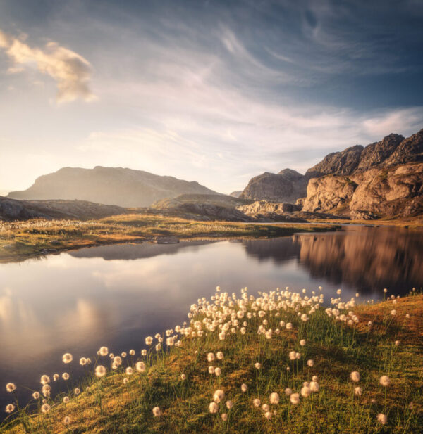 عکاسی از چشماندازهای تابستانی: راهنمای جامع برای ثبت تصاویری خیرهکننده 5 لنزهای ضروری برای عکاسی از چشمانداز