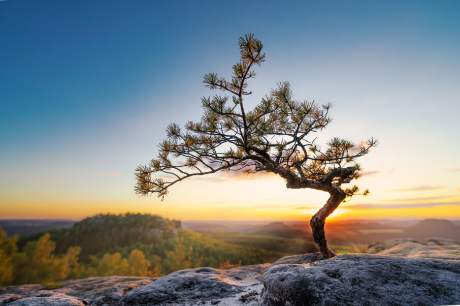 عکاسی از چشماندازهای تابستانی: راهنمای جامع برای ثبت تصاویری خیرهکننده 6 تصویری برای نمایش مرحله نهایی خلق یک عکس، یعنی ویرایش.