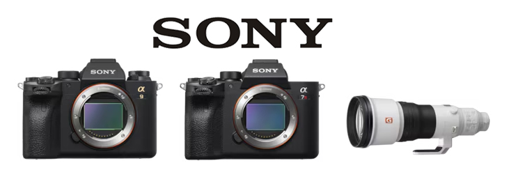 نمایشی از تجهیزات کلیدی مورد نیاز برای عکاسی از پرندگان و حیات وحش