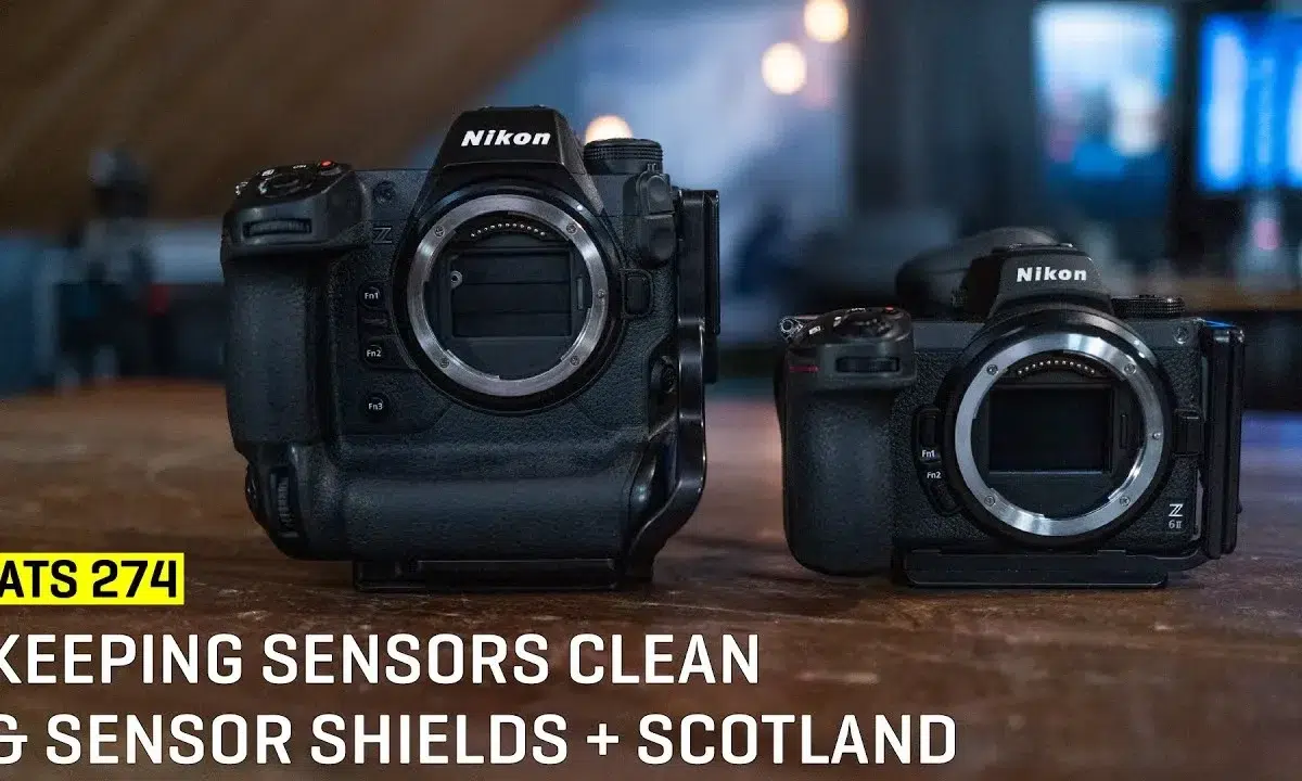 کلینینگ سنسور نیکون توسط تکنسین متخصص