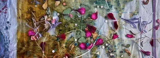 نمونه‌ای از یک عکس هنری با جزئیات بالا که با تکنیک شیفت پیکسل گرفته شده است