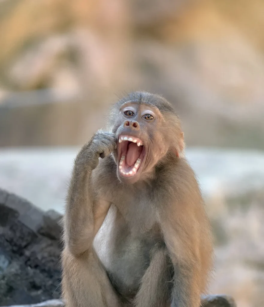 قابللیتهای دوربین Alpha 9 | FE 200-600mm F5.6-6.3 G OSS | 600 mm | 1/500 sec | F6.3 | ISO 3200