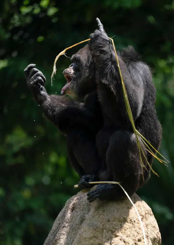 حضور به موقع در موقعیتهای خاص