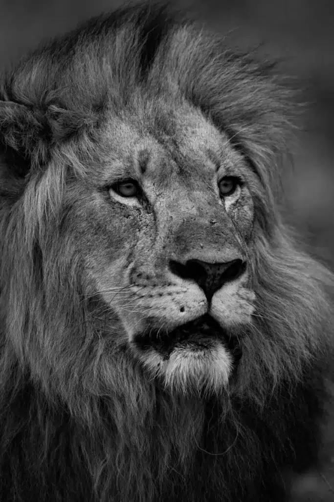 این تصویر بر اهمیت پژوهش و انتخاب سوژه‌های خاص تأکید دارد.