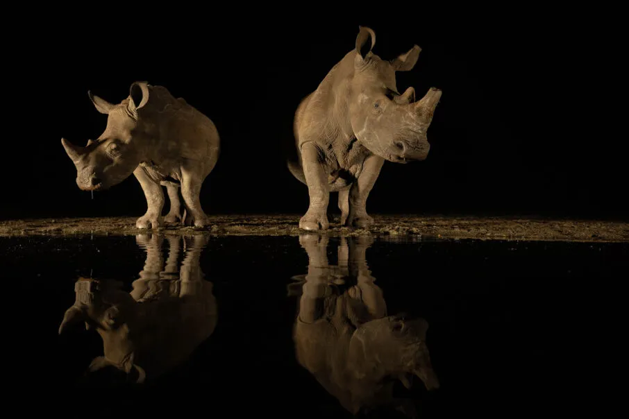 "ایده‌آل دوربین" با خدمات پس از فروش در کنار تجهیزات عکاسی حرفه‌ای