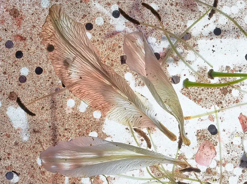 نمونه‌ای از عکاسی still life با جزئیات بی‌نظیر که با تکنیک شیفت پیکسل گرفته شده است