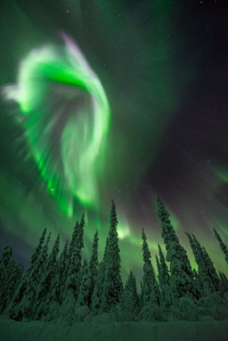 یک تصویر خیره‌کننده و تمام‌نما از شفق قطبی که بر فراز یک منظره طبیعی زیبا (مانند جنگل یا ساحل) رقص می‌کند.