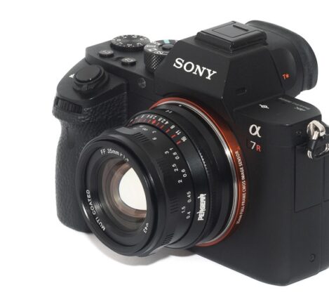 نمونه عکس پرتره با بوکه نرم و زیبا گرفته شده با لنز Pergear 35mm f/1.4