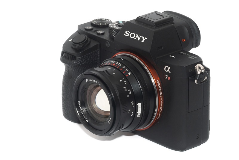 نمونه عکس پرتره با بوکه نرم و زیبا گرفته شده با لنز Pergear 35mm f/1.4