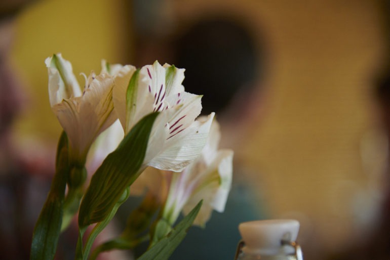 نمای نزدیک از بدنه آب‌بندی شده و دکمه‌های ارگونومیک دوربین Canon 5Ds