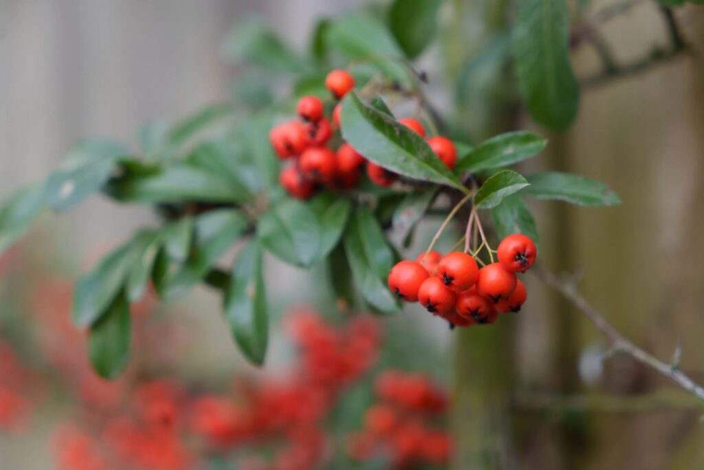 خدمات تعمیرات تخصصی دوربین و لنز